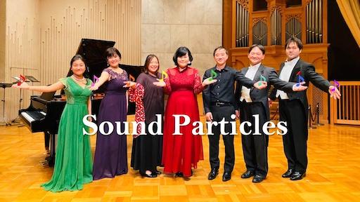 The SOUND PARTICLES